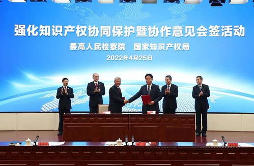 最高檢與國家知識產(chǎn)權局建立常態(tài)化聯(lián)絡機制 重大案件共同掛牌督辦